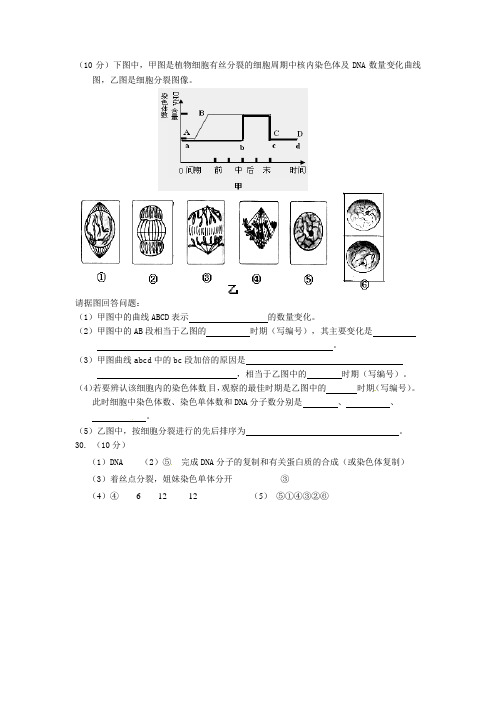 2012-2013学年度高一下学期期中生物试题