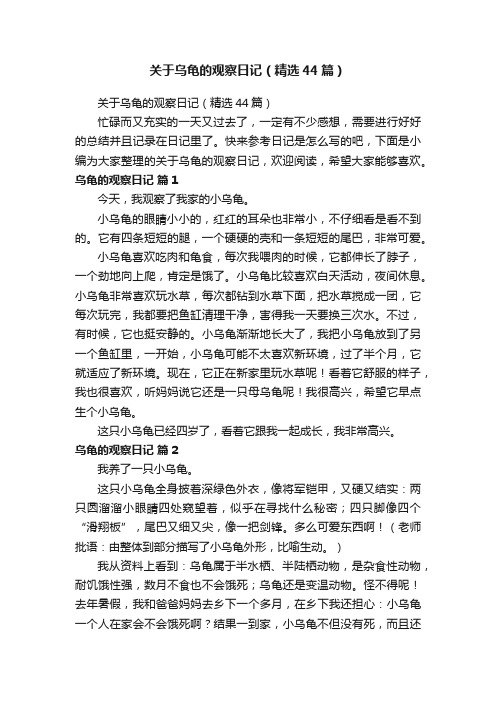 关于乌龟的观察日记（精选44篇）