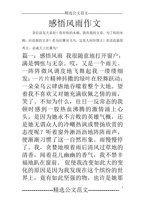 感悟风雨作文