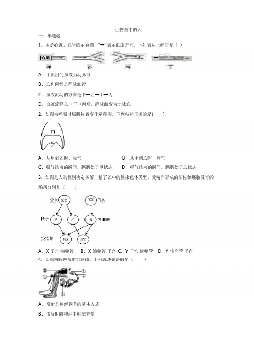 2020年中考生物一轮复习： 生物圈中的人  专题练习题(有答案)