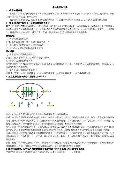 微生物代谢工程