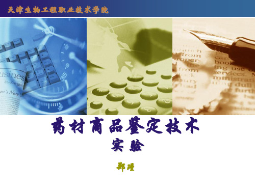 《药材商品鉴定技术》实验一显微镜使用、粉末制片、测量