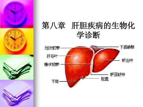 肝胆疾病的生物化学诊断