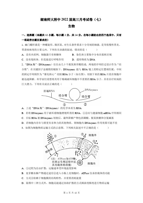 湖南师大附中2021-2022学年高三下学期月考生物试卷(七)