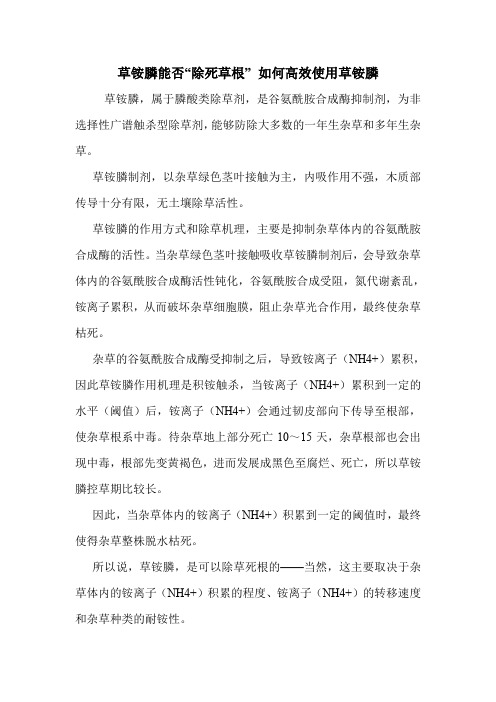 草铵膦能否“除死草根” 如何高效使用草铵膦