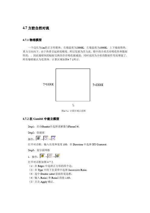 4.7 方腔自然对流(8)