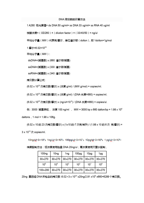 DNA拷贝数的计算方法