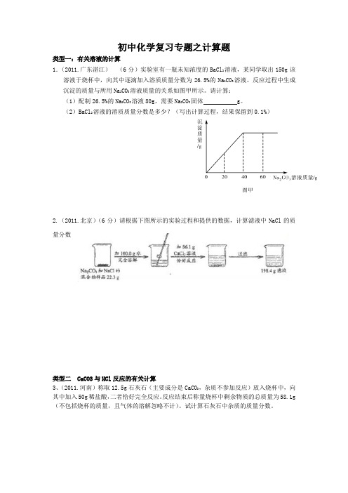 初中化学复习专题之计算题(有答案)