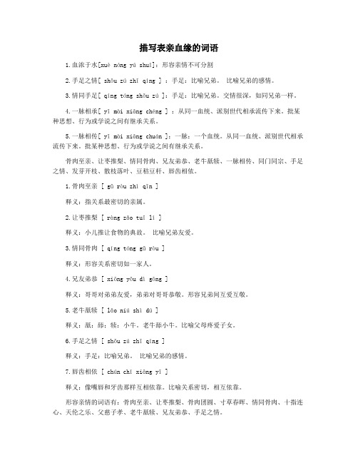 描写表亲血缘的词语