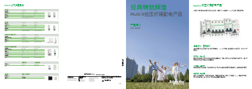 施耐德Multi9系列微型开关.pdf