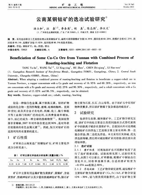 云南某铜钴矿的选冶试验研究