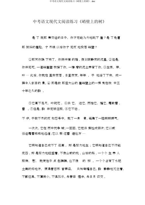 中考语文现代文阅读练习《峭壁上的树》.doc