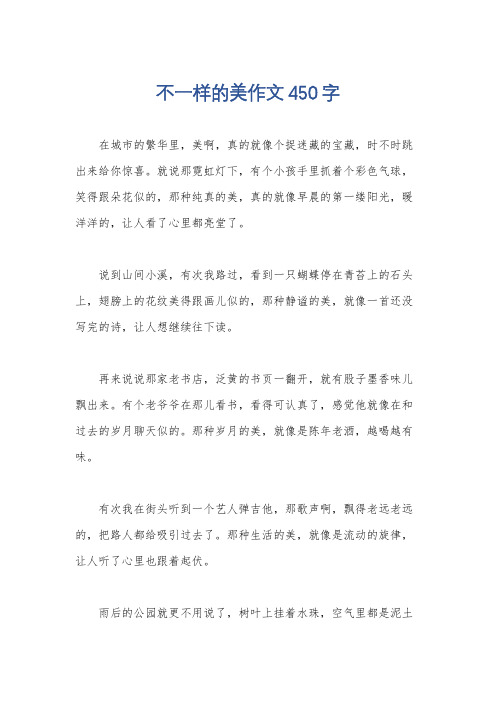 不一样的美作文450字