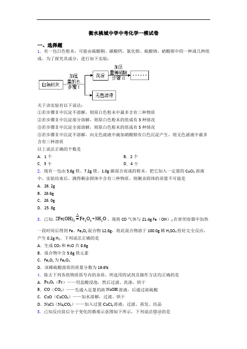 衡水桃城中学中考化学一模试卷