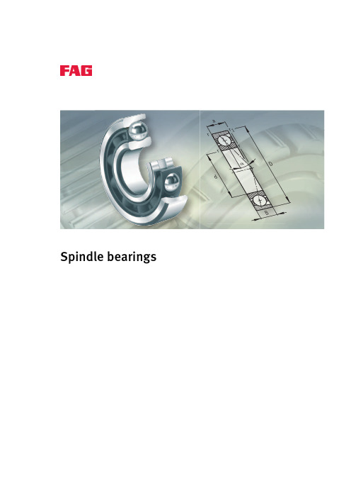 FAG_Spindle_bearings