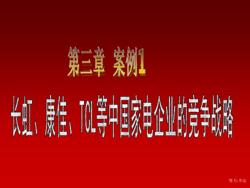 第3章规划企业战略与市场营销管理——案例_版23样版演示课件.ppt