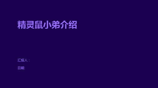 精灵鼠小弟介绍