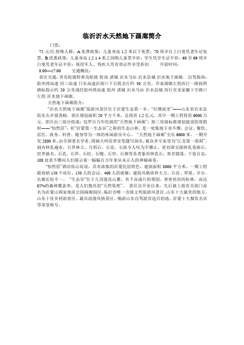临沂沂水天然地下画廊简介