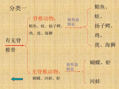 浙教版科学七上《常见的动物》(第3课时)ppt课件