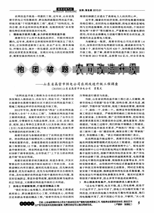 抱团破题农网改造升级——山东省高密市供电公司农网改造升级工程调查
