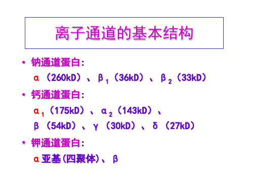 离子通道药理学20132讲解