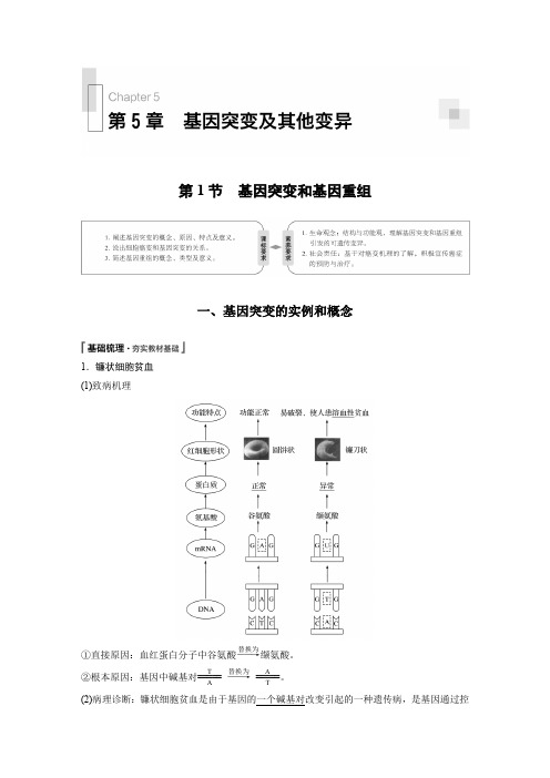 统编版高中生物必修二 第5章 第1节