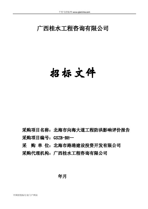 大道工程防洪影响评价报告招投标书范本