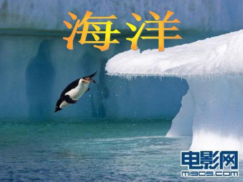 海洋