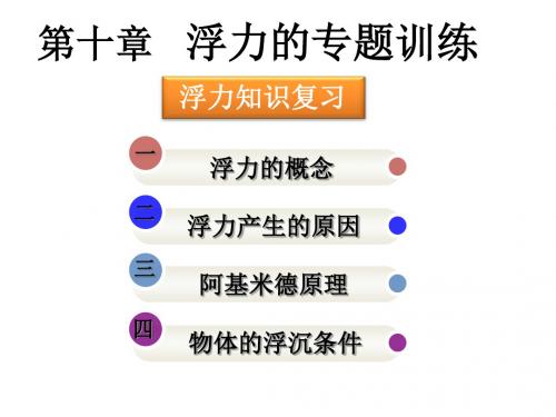 2014浮力分类复习总结