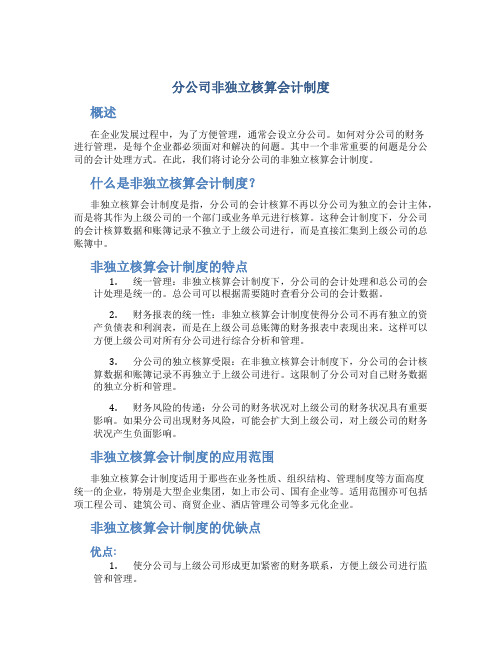 分公司非独立核算会计制度