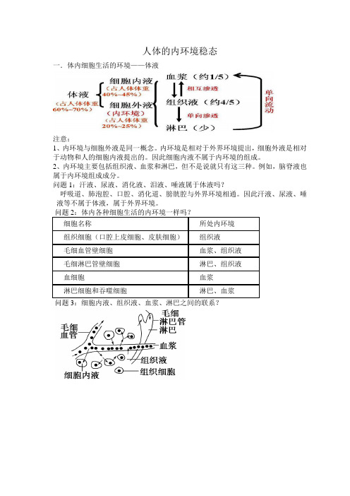 人体的内环境稳态