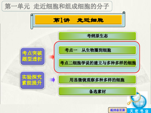 第一单元第1讲走近细胞ppt课件