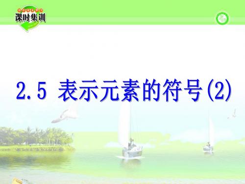 2.5 表示元素的符号(2)