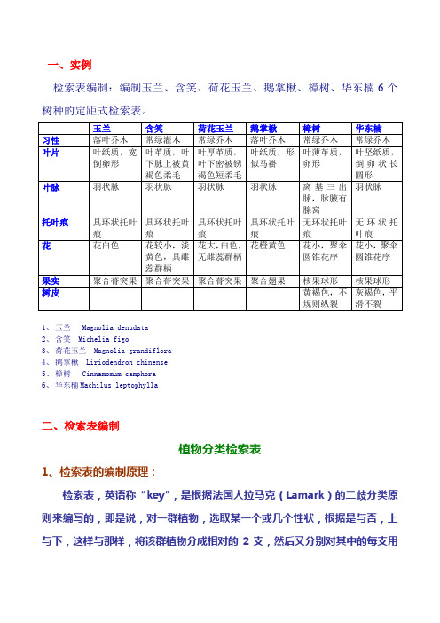 检索表编制