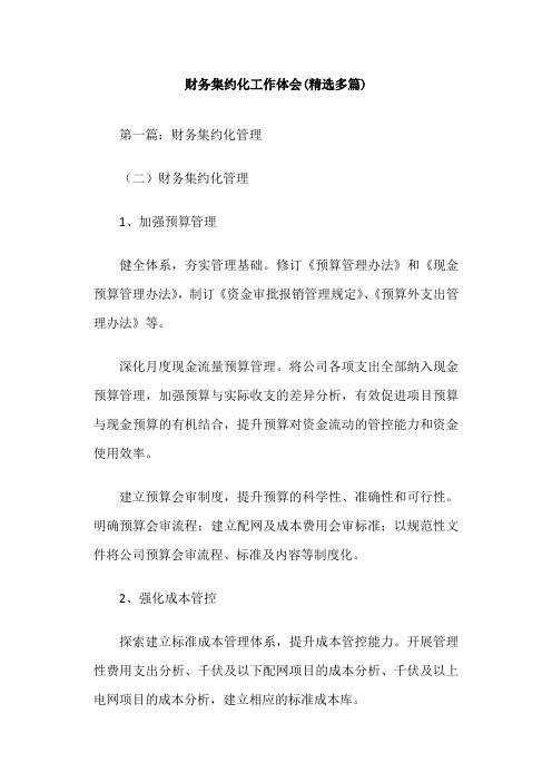 财务集约化工作体会