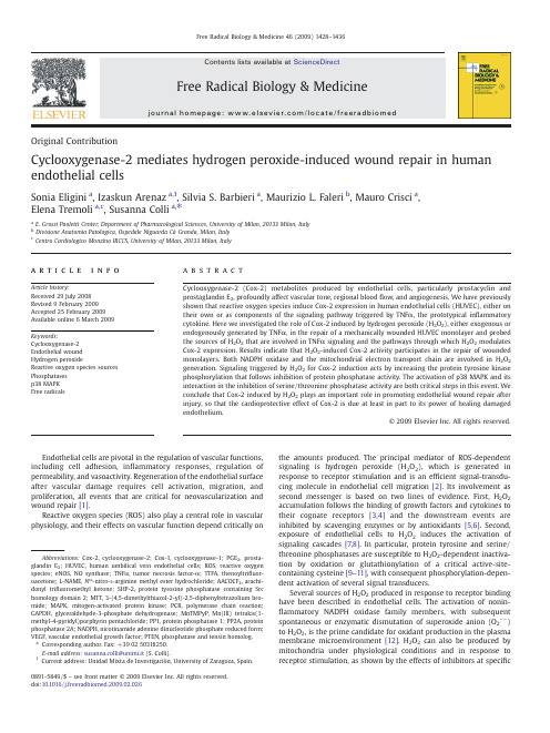 Cyclooxygenase-2 环氧化酶2