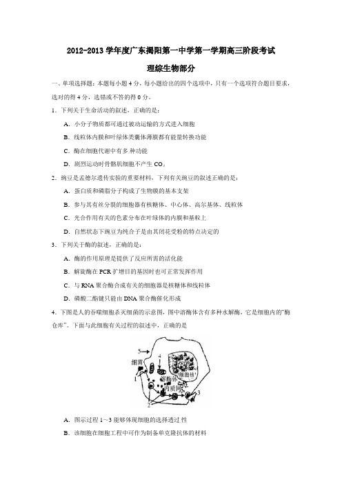 广东揭阳第一中学第一学期高三阶段考试理综生物部分