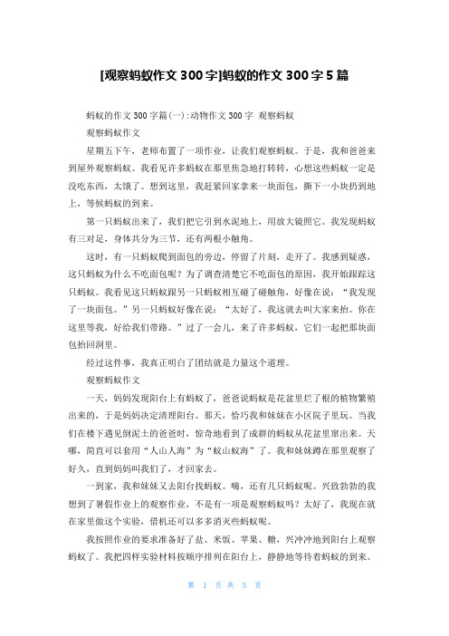 [观察蚂蚁作文300字]蚂蚁的作文300字5篇