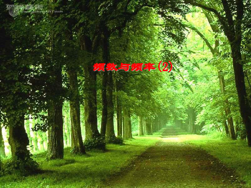 《频数与频率》PPT课件 (2)