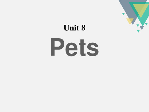 《Pets》ppt课件