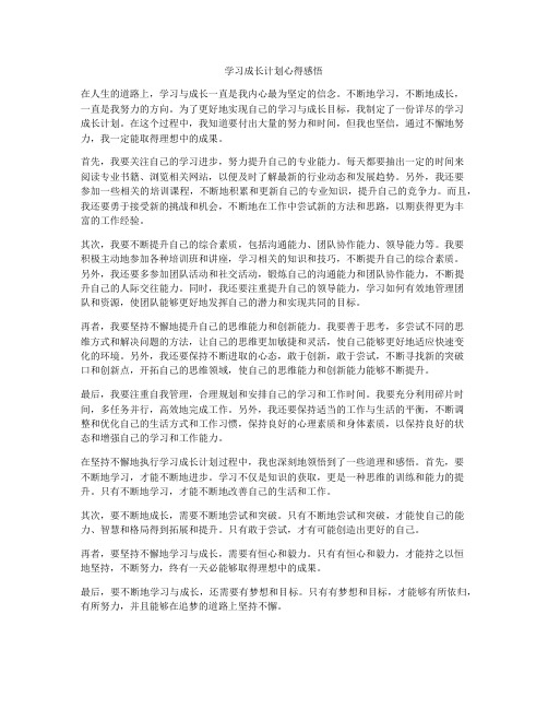 学习成长计划心得感悟