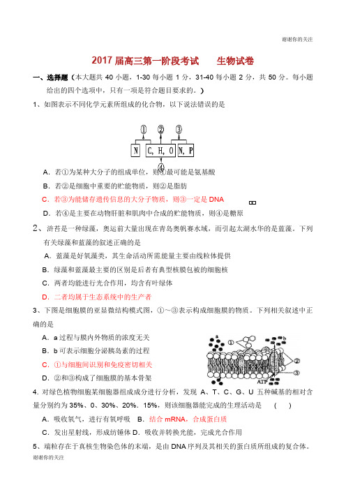 2017届高三第一阶段考试 生物试卷.doc