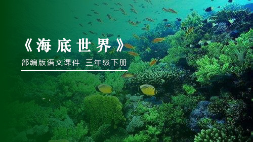 《海底世界》PPT课件