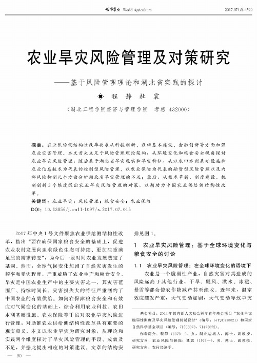 农业旱灾风险管理及对策研究——基于风险管理理论和湖北省实践的探讨