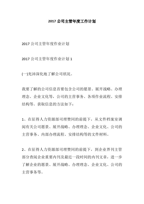 2017公司主管年度工作计划