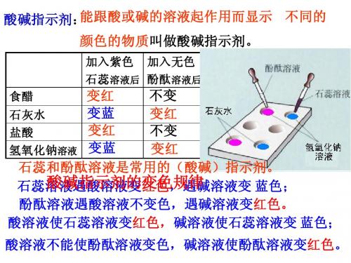 课题1  常见的酸和碱第二课时