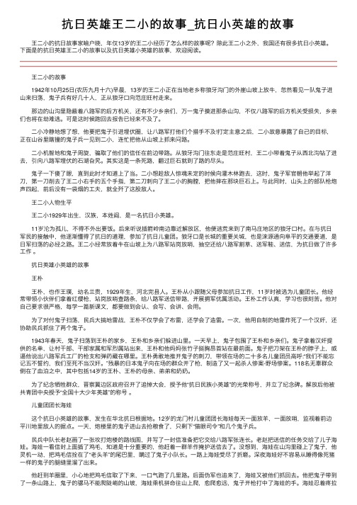 抗日英雄王二小的故事_抗日小英雄的故事