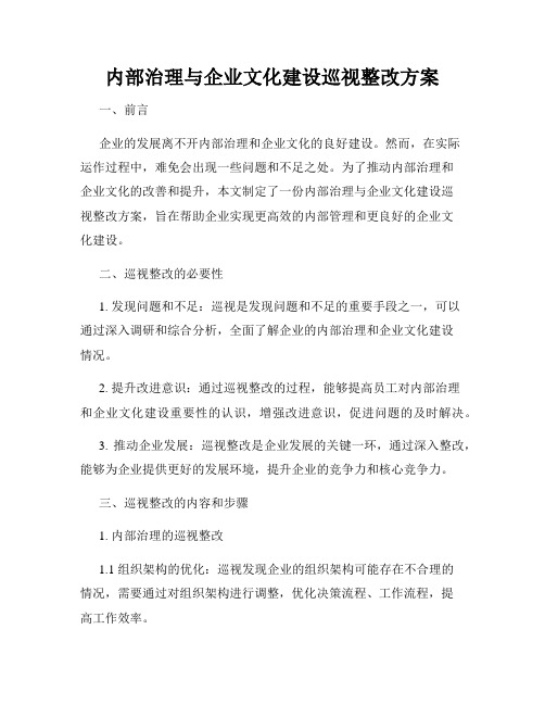 内部治理与企业文化建设巡视整改方案