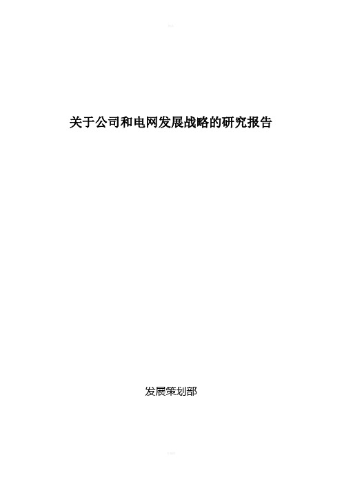 关于公司和电网发展战略的研究报告