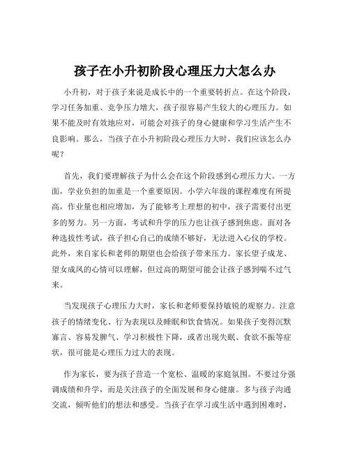 孩子在小升初阶段心理压力大怎么办